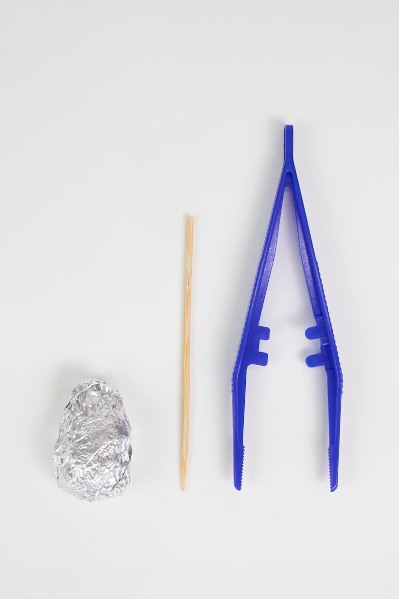 Owl Pellet Dissection Kit, Default Title at Stemcell Science Shop