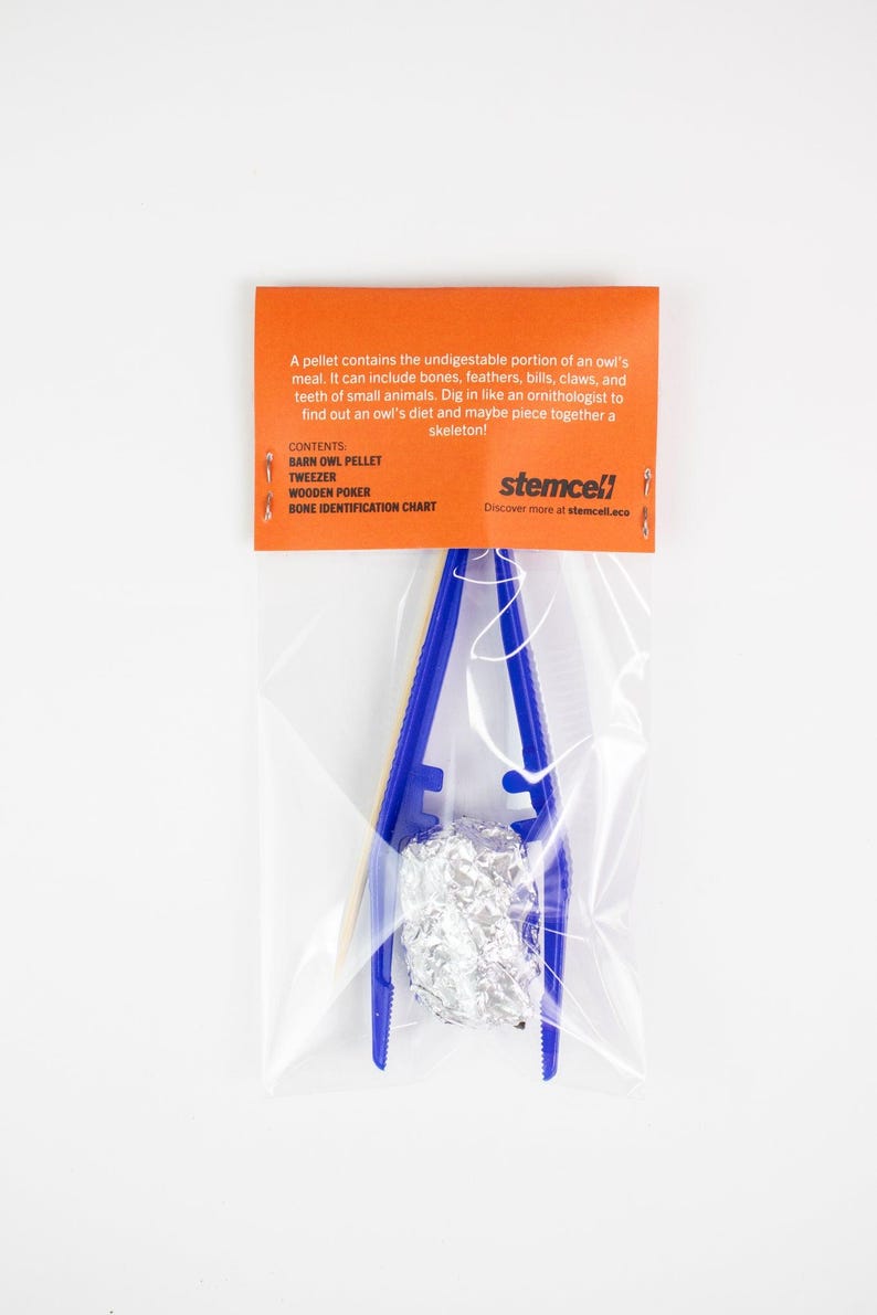 Owl Pellet Dissection Kit, Default Title at Stemcell Science Shop
