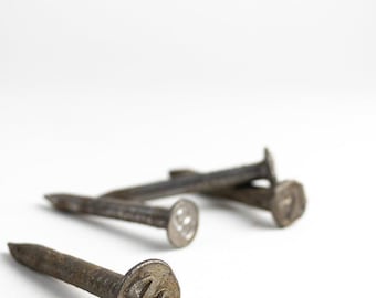 Datumsnagel aus Stahl