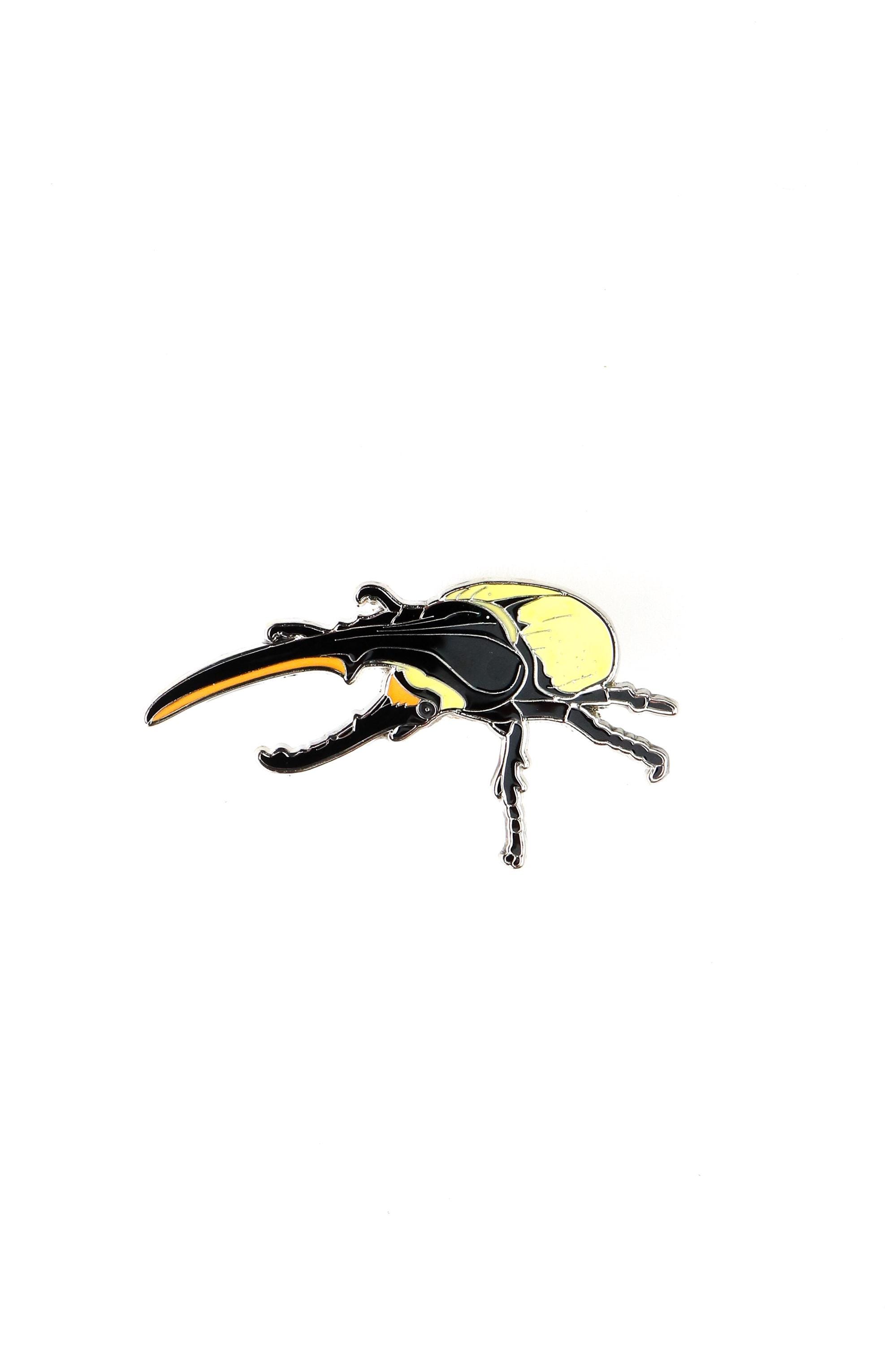 Dynastes hercules - Etsy 日本