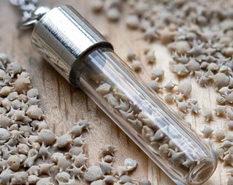 Japanese Star Sand Vial Necklace