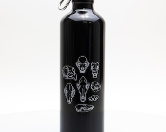 Schädel Flasche