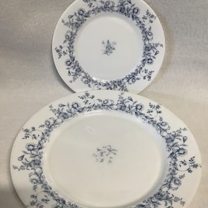 Vintage Aropal France Dinner Plate and Salad Plate, Glenwood Pattern