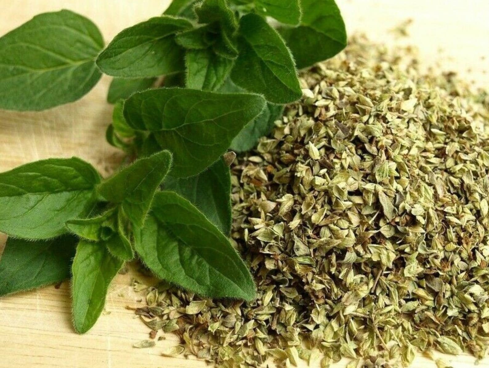 Wild Oregano Tea 50 gram Special Herbal Green Tea Collection Etsy