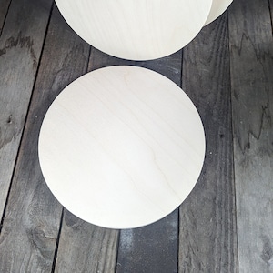 10.625" (10 5/8") Wood Circle Disc Plaques, BALTIC BIRCH Wooden Circles, Blank Circles, Unfinished Wooden Circles, DIY Crafting Supplies