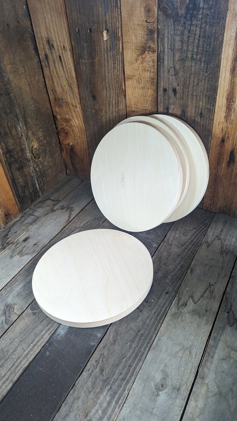 10.625" (10 5/8") Wood Circle Disc Plaques, BALTIC BIRCH Wooden Circles, Blank Circles, Unfinished Wooden Circles, DIY Crafting Supplies