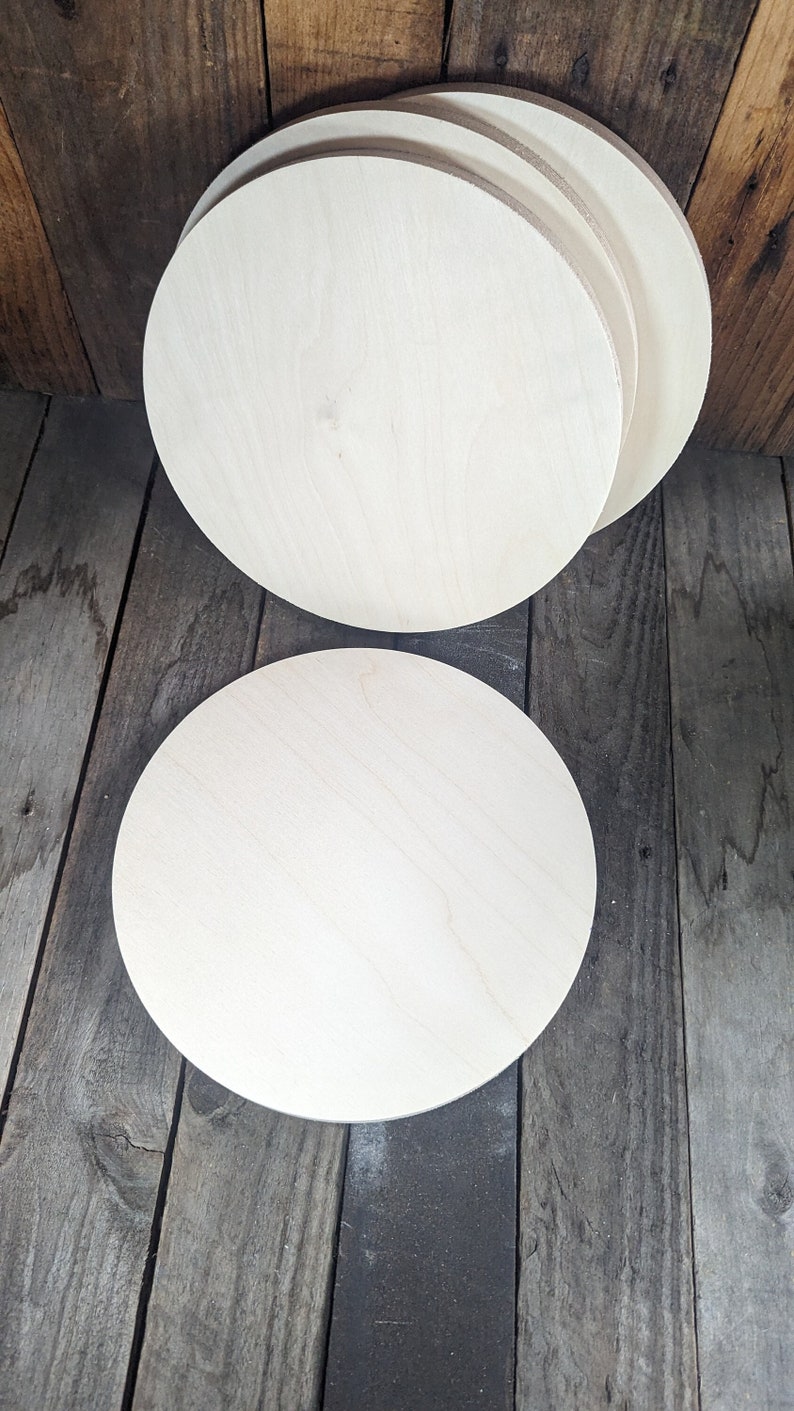 10.625" (10 5/8") Wood Circle Disc Plaques, BALTIC BIRCH Wooden Circles, Blank Circles, Unfinished Wooden Circles, DIY Crafting Supplies