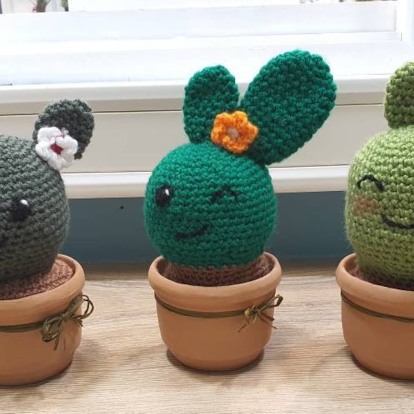 Cactus crochet, en pots en verre ou terre cuite