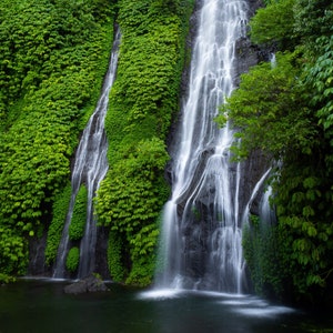 Bali Waterfall, Bali Fine Art Print, Rainforest Art Print, Indonesia Art Print, Tropical Wall Art, Tropical Waterfall Print, Bali Art Print
