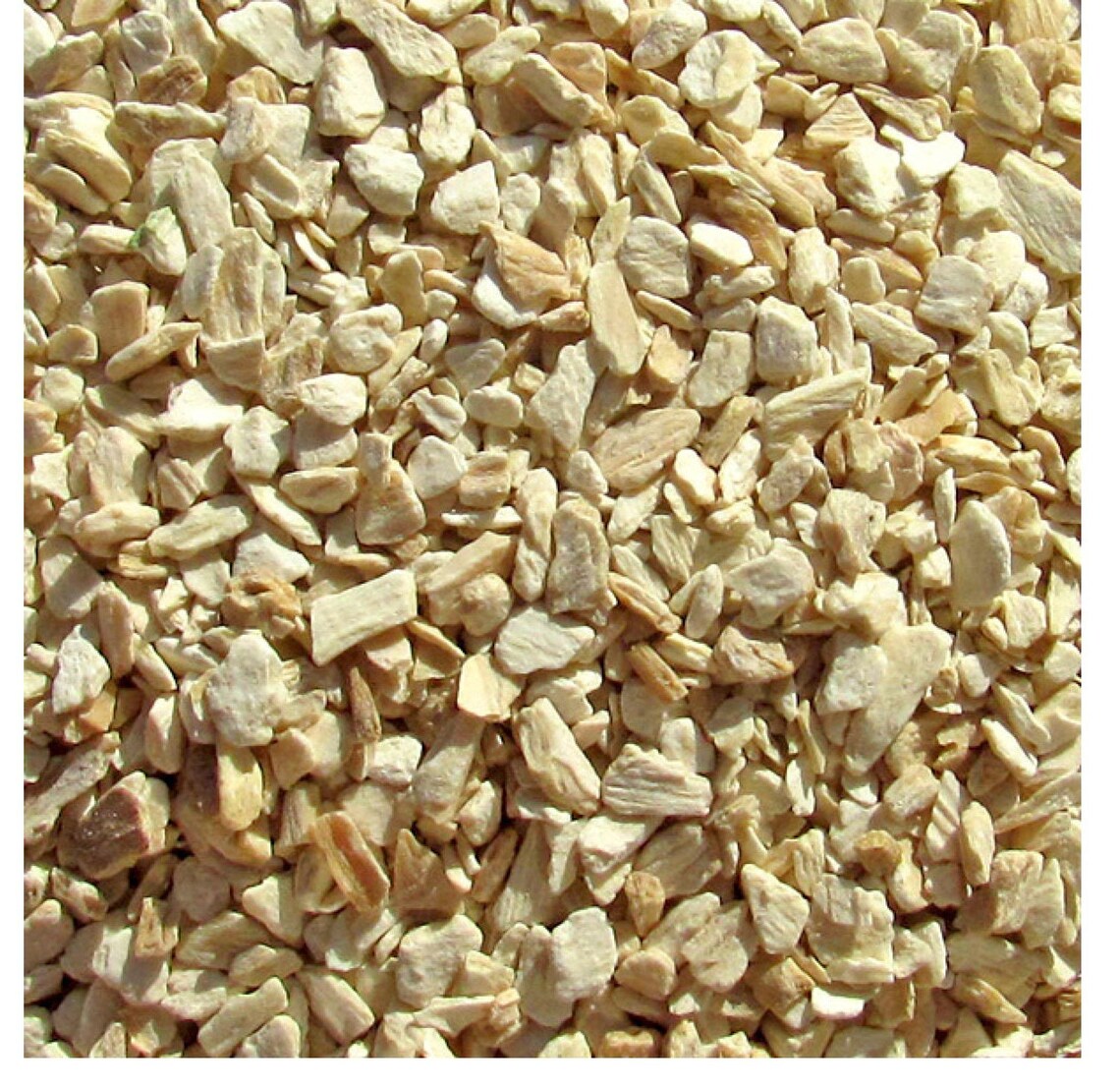 Organic Dried Horseradish Root premium quality Free Shipping Etsy