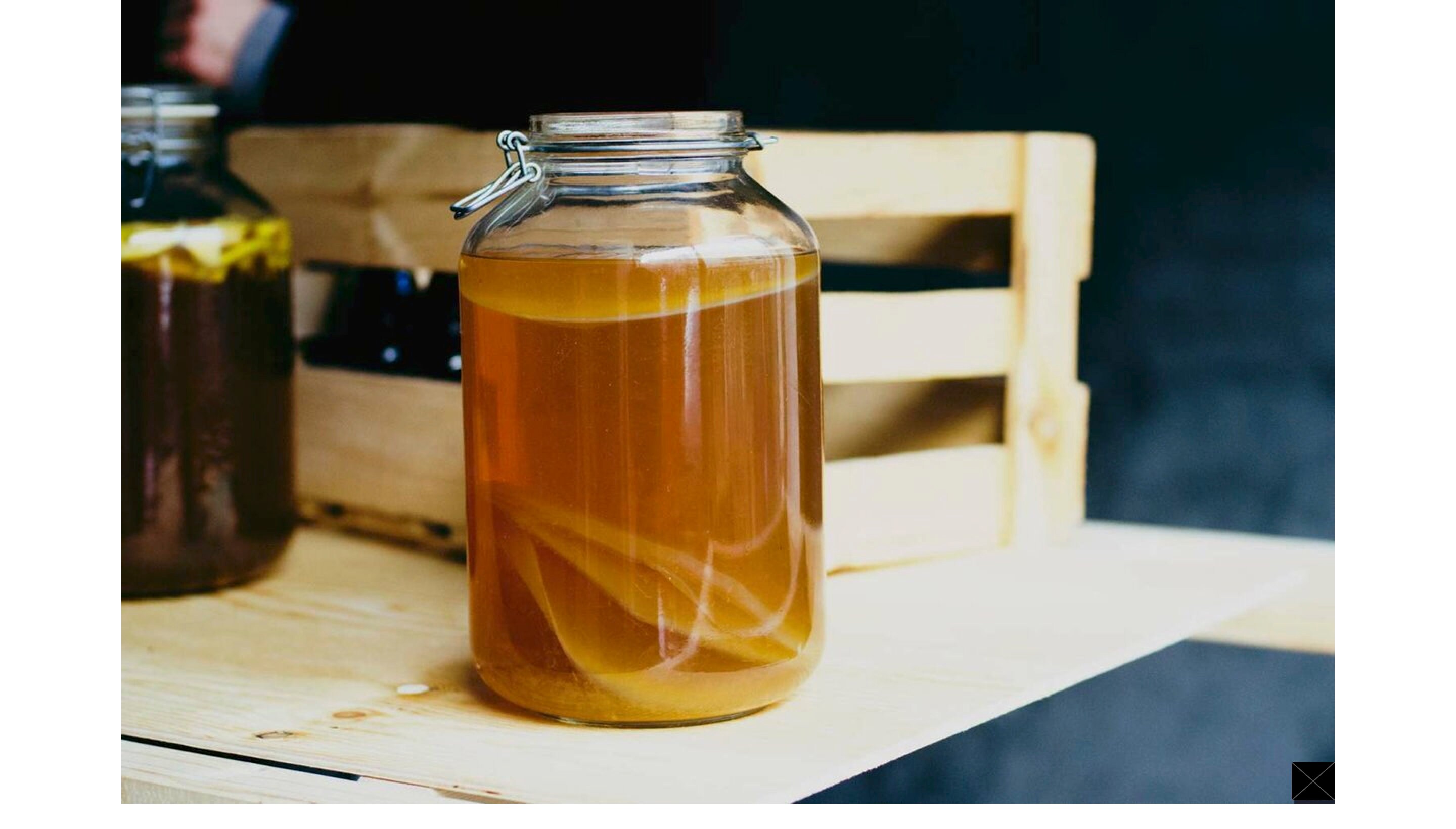 Thé kombucha starter biologique CULTURE avec Scoby Etsy