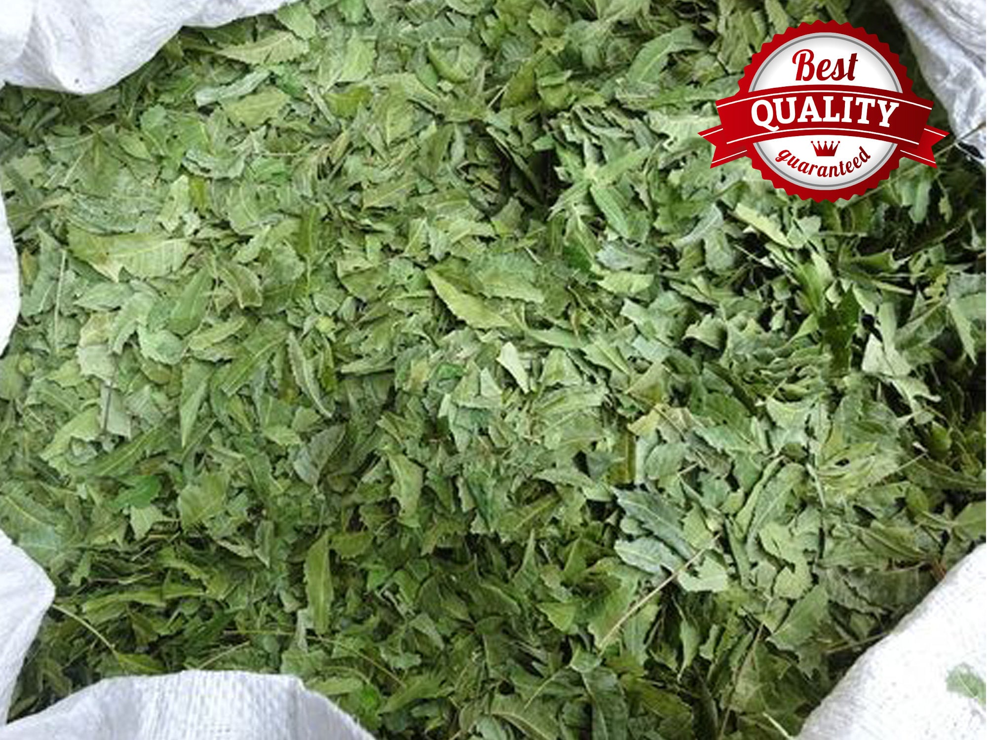 Neem Leaves Dried Pure 100 Organic Etsy