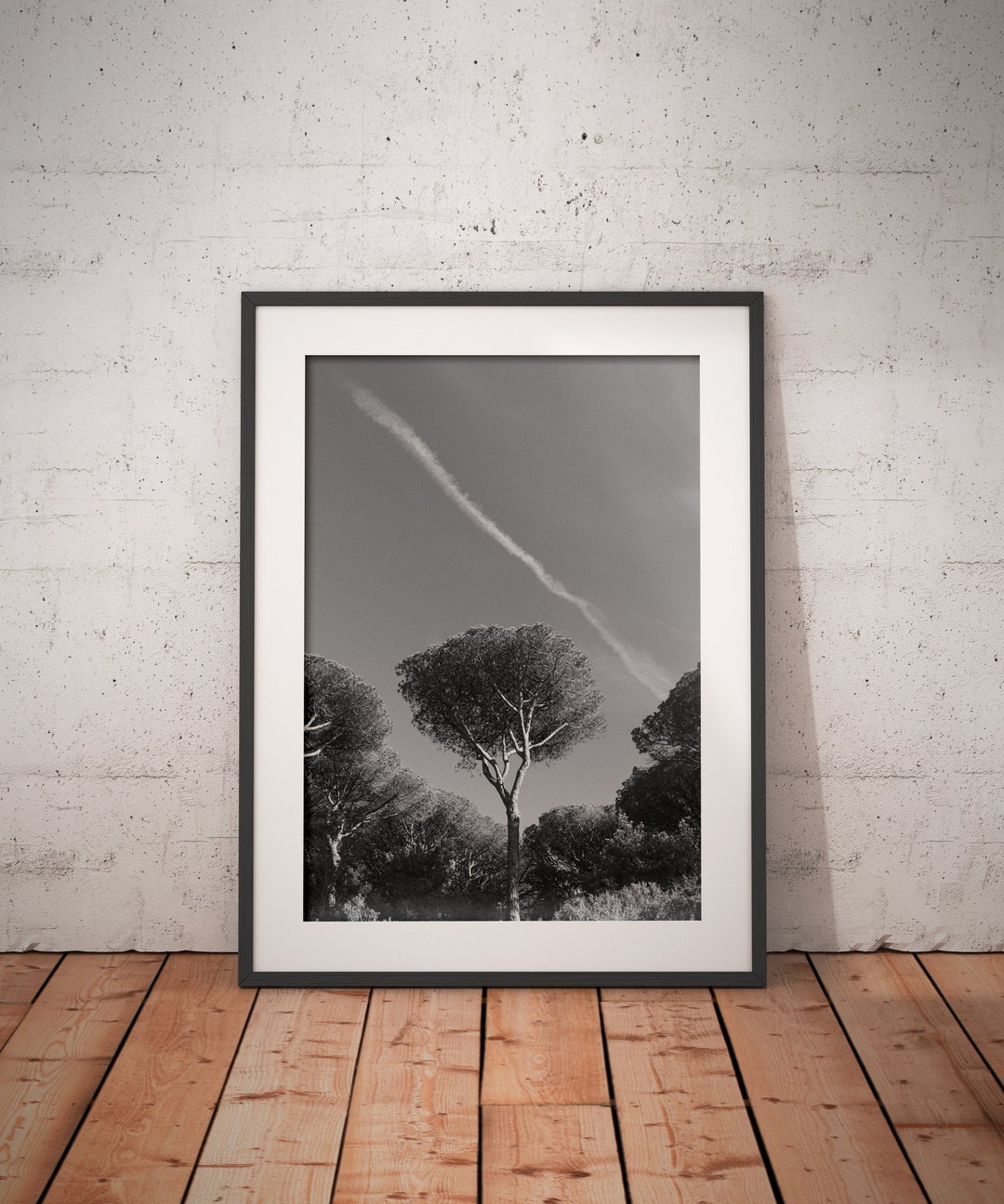 Black and White Fine Art Photography - High Quality - Nature ...