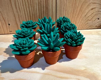 Spinny Succulents Mini Fidget Spinners – Pocket Plants for Fun & Stress Relief