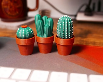 Clicky Cacti Fidget Toy – Pocket-Sized Stress Relief with Mechanical Switches