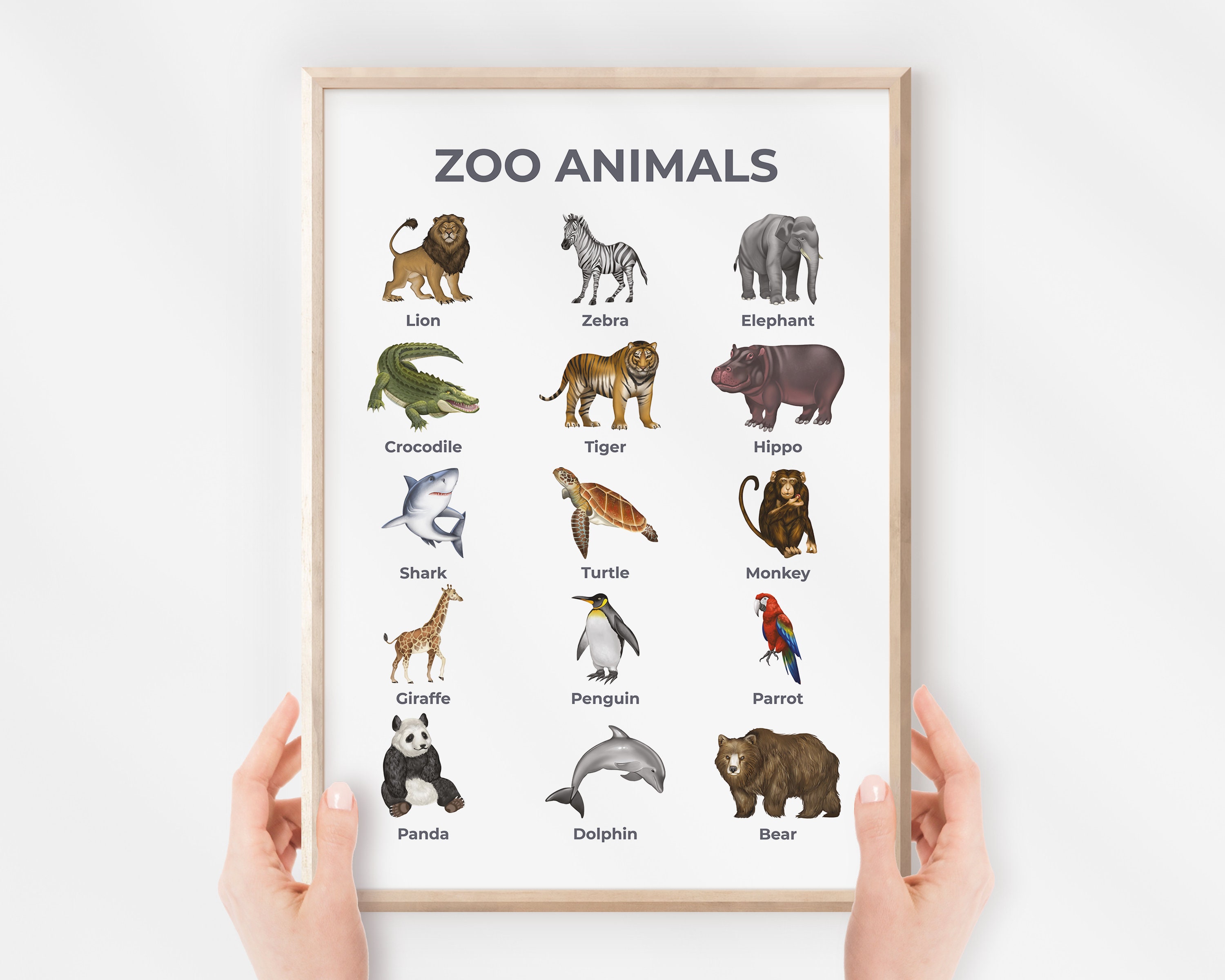 Zoo Animals Poster, Learning Chart, Educational Nursery Wall Art
