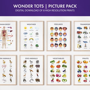 Juego de carteles educativos con imágenes, 8 gráficos de pared de aprendizaje, decoración de sala de juegos, impresiones de educación en el hogar, imprimibles Montessori, carteles de preescolar para niños pequeños
