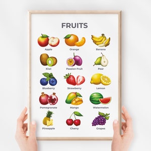 Cartel de frutas, Tabla de aprendizaje, Arte mural de guardería educativa, Decoración Montessori Homeschool, Tema del arco iris, Aula para niños, Descarga digital