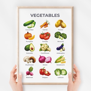 Cartel de verduras, Tabla de aprendizaje, Arte mural de guardería educativa, Decoración Montessori Homeschool, Aula para niños, Descarga digital