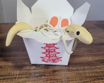 Handmade &quot;Danger Noodles&quot; Clay Snake in Takeout Box – Fun, Unique Decor