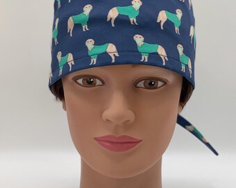 La Medicina Ha Messo Con Medico, L'infermiere, L'interno Ed Il Chirurgo Personale Medico Image90940218 La Medicina Ha Messo Con Medico, L'infermiere, L'interno Ed Il Chirurgo Personale Medico Image90940218