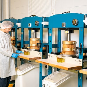 May include: A person in a white lab coat and hairnet operates a row of blue hydraulic presses with wooden cylinders. Each press has a digital gauge and a pressure gauge. There are clear containers of liquid on the work surface.
