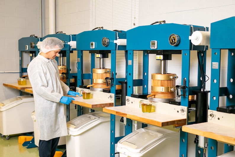 May include: A person in a white lab coat and hairnet operates a row of blue hydraulic presses with wooden cylinders. Each press has a digital gauge and a pressure gauge. There are clear containers of liquid on the work surface.