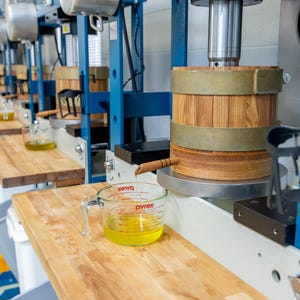 May include: A row of industrial blue metal presses with wooden cylindrical barrels and brass bands. A clear glass Pyrex measuring cup sits on a wooden surface, collecting yellow liquid dripping from a wooden spout attached to the press barrel.