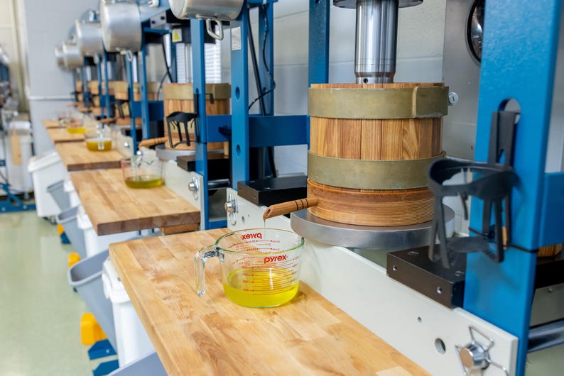 May include: A row of industrial blue metal presses with wooden cylindrical barrels and brass bands. A clear glass Pyrex measuring cup sits on a wooden surface, collecting yellow liquid dripping from a wooden spout attached to the press barrel.