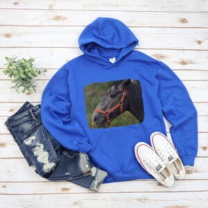 Horse hoodie Equestrian hoodie Horse gift Horse in halter Unisex Heavy Blend Hooded Sweatshirt