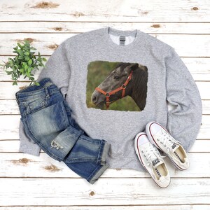 Horse sweatshirt Equestrian sweatshirt Horse gift Horse in halter Unisex Heavy Blend Crewneck Sweatshirt