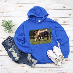 Horse hoodie Equestrian hoodie Horse gift Three Horses Unisex Heavy Blend Hooded Sweatshirt