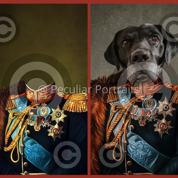 Pet Portrait TEMPLATE, Renaissance Royal Pet . Digital Background for Photoshop,  Photographer and Digital Editors