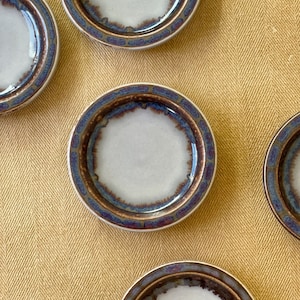 Vintage Mid Century Bing & Grøndahl &quot;Mexico&quot; Pair of Petite Plates Denmark 1970s