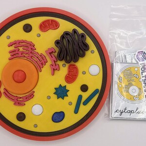 May include: A yellow and orange 3D printed model of a cell with various organelles, including the nucleus, endoplasmic reticulum, Golgi apparatus, mitochondria, and ribosomes. The model is on a white background. The image also shows a bag of stickers with the text "Polyshapes Lab" and "cytoplasm".