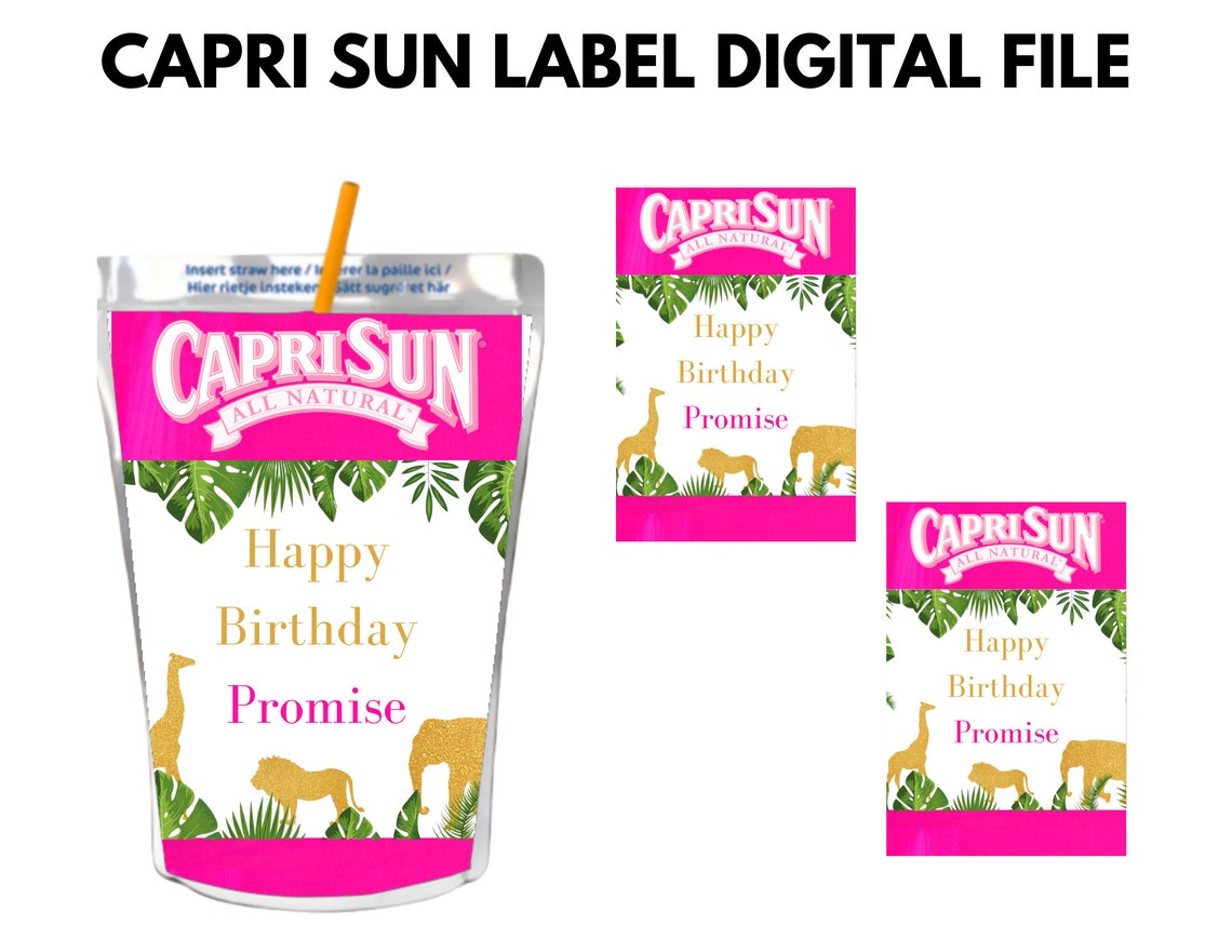 Printable Chip Bags Treat Bags Birthday Party Favors Etsy