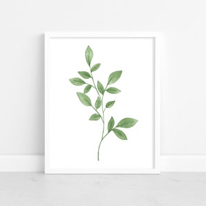 May include: A white framed print featuring a watercolor illustration of a single green leafy branch with delicate leaves.