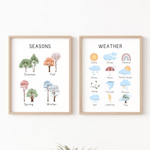 May include: Two educational posters with illustrations of the four seasons and different types of weather. The seasons poster shows trees with different colored leaves and the text "Summer", "Fall", "Spring", and "Winter". The weather poster shows illustrations of sunny, cloudy, rainy, snowy, windy, tornado, stormy, hail, lightning, and foggy weather with the corresponding text.