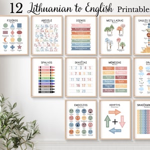 12 carteles educativos bilingües en lituano, aprende lituano, carteles para el aula de lituano, póster del alfabeto lituano para inmersión dual