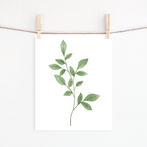 May include: A watercolor painting of a green leafy branch with delicate leaves. The branch is isolated on a white background.