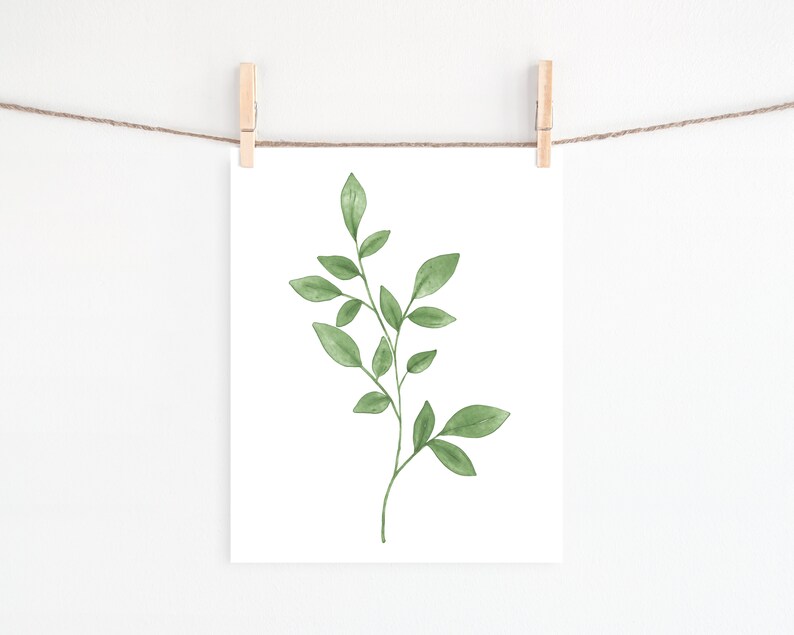 May include: A watercolor painting of a green leafy branch with delicate leaves. The branch is isolated on a white background.