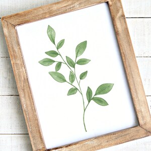 May include: A framed print of a watercolor painting of a green leafy branch with a white background.