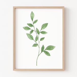 May include: A framed print of a watercolor painting of a green leafy branch with a white background.