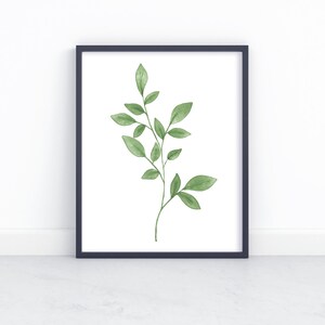 May include: A black framed print with a watercolor illustration of a green leafy branch on a white background.