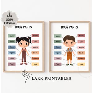 Körperteile Poster, Homeschool Lerndrucke für Kleinkinder, menschlicher Körper zum Herunterladen, Lehrmittel, Vorschulkinder Anatomisch Poster
