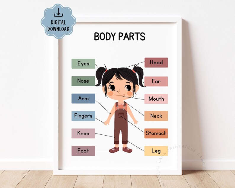 Body Parts Poster, Homeschool Educational Prints for Toddlers, Human ...