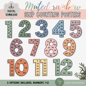 Skip Counting Display, Boho Rainbow Classroom Decor, Multiples Large Number Display, Skip Counting Poster, Math Posters, Multiplication
