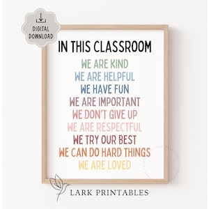 Op de afbeelding: Een printbare poster voor de klas met de tekst "In deze klas zijn we aardig, we zijn behulpzaam, we hebben plezier, we zijn belangrijk, we geven niet op, we zijn respectvol, we doen ons best, we kunnen moeilijke dingen doen, we worden geliefd." De poster heeft een licht houten frame en een kleurrijke regenboogkleurige achtergrond.
