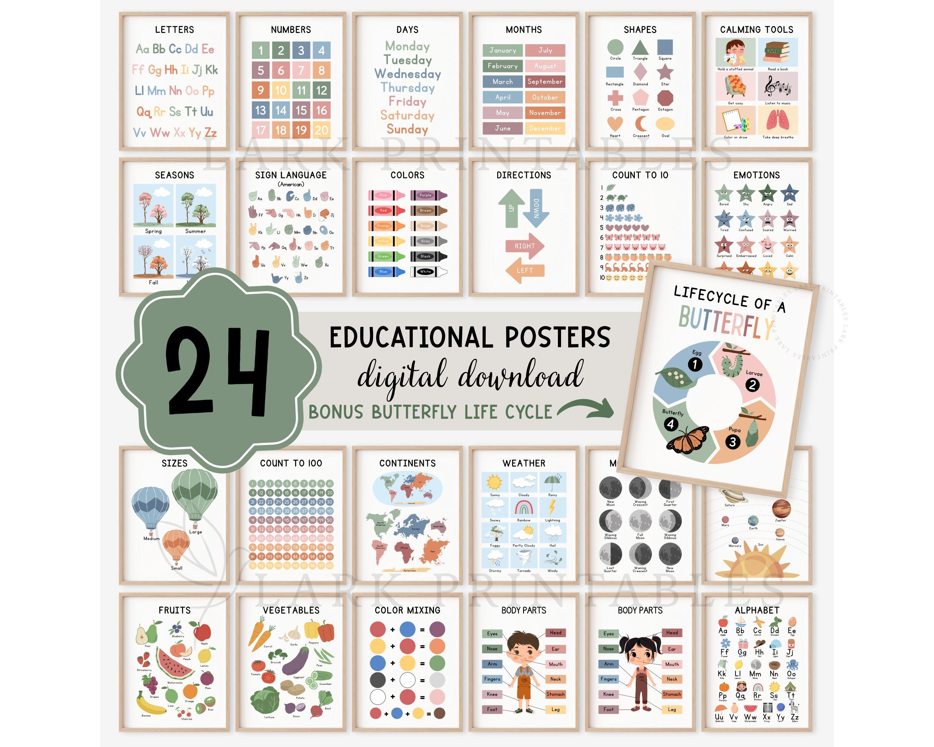 Educational Posters DIGITAL DOWNLOAD, Toddler Learning Posters, ABC Poster Playroom Printable Decor Alphabet Poster Kids Wall Art Homeschool