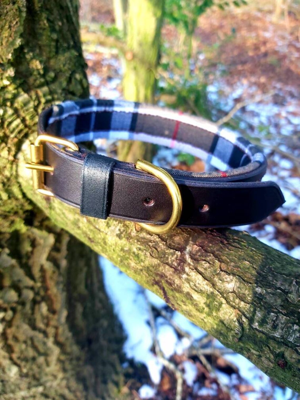 Burberry Engraved Dog Collar Dark Brown Leather with Grey and Etsy